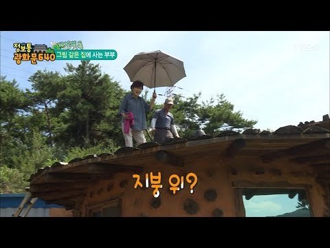 그림 같은 집에 사시는 분과의 첫 만남은 지붕에....?! [정보통 광화문 640] 28회 20170809