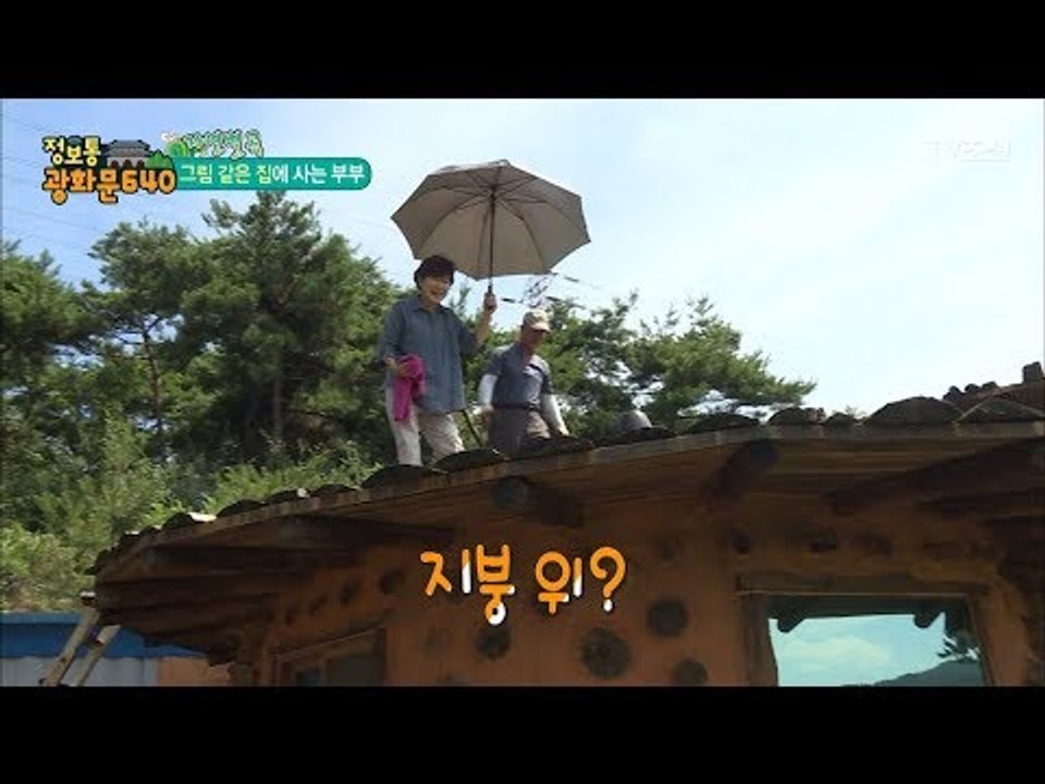 그림 같은 집에 사시는 분과의 첫 만남은 지붕에....?! [정보통 광화문 640]...