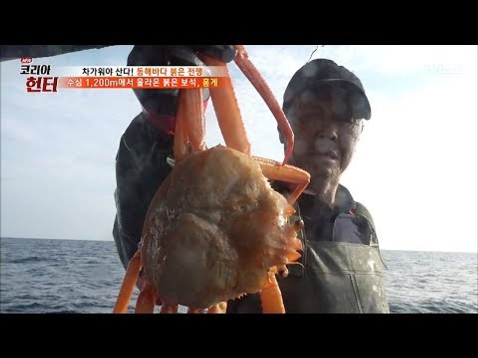 동해안의 붉은 보석, 홍게! [뉴 코리아 헌터] 64회 20170821
