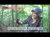 고주박에 둘러쌓여 사는 남자의 일상! [정보통 광화문 640] 28회 20170809