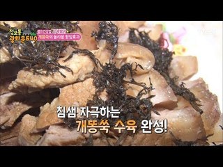 개똥쑥으로 만든 항암 요리들! [정보통 광화문 640] 29회 20170810