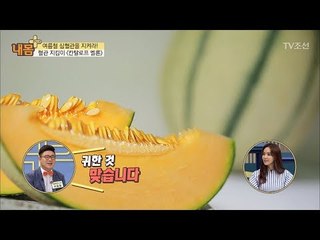 ‘칸탈로프 멜론’이 심장에 좋은 이유 [내 몸 플러스] 70회 20170820
