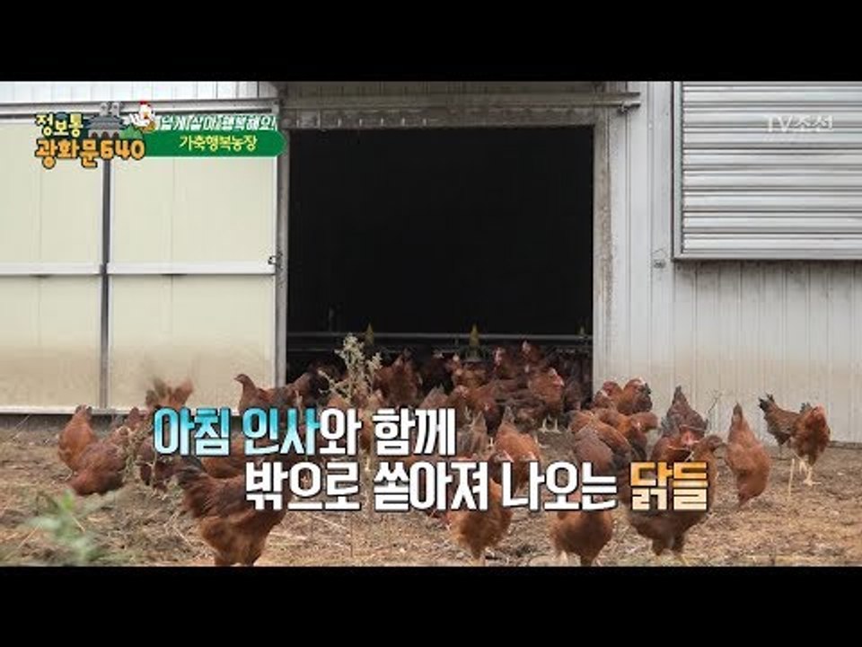 닭한테 자유를! ‘가축행복농장’ [정보통 광화문 640] 48회 20170906