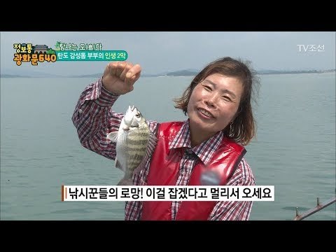 감성돔 잡으러 낚시가 취미인 부부가 떴다! [정보통 광화문 640] 38회 20170823
