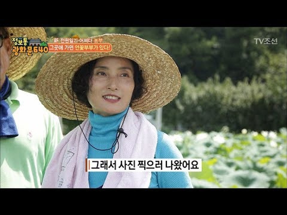 귀농 9년 차, 연꽃에 둘러 쌓인 부부가 떴다! [정보통 광화문 640] 39회 20...
