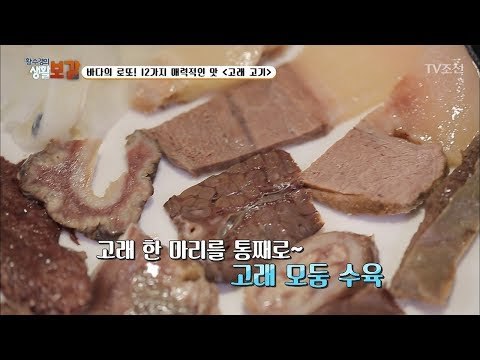 바다의 로또! 고래 고기! [황수경의 생활보감] 21회 20170826