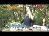 주마산 산신령의 치열했던 과거, 그가 산에 들어온 이유? [정보통 광화문 640] 51회 20170911