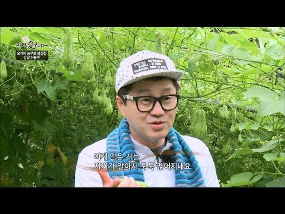 지상렬, 난생 처음 보는 차요테 수확하기! [자연愛산다] 20회 20170829