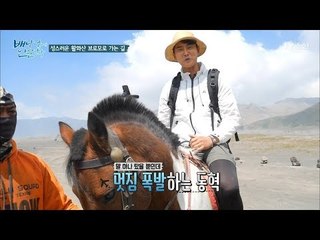 말이 뽑아주는 제비뽑기! 과연 말을 타고 갈 사람은 누구?! [배낭 속에 인문학] 14회 20170912