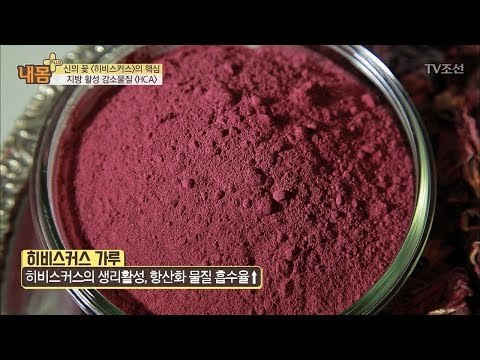 비만을 잡아주는 신의 꽃 ‘히비스커스’의 효능! [내 몸 플러스] 71회 20170827