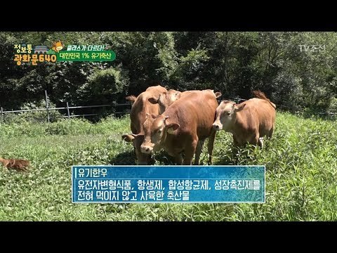 클라스가 다른 1% 유기농 한우! [정보통 광화문 640] 53회 20170913