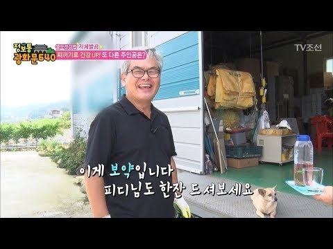 잇몸 건강 지킴이! 옥수수 속대! [정보통 광화문 640] 54회 20170914