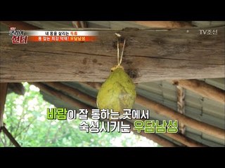 풍 잡는 최강의 약재 ‘우담남성’ 만들기! [뉴 코리아 헌터] 65회 20170828