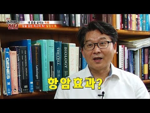 독사가 가진 독에 항암효과가 있다?! [뉴 코리아 헌터] 65회 20170828