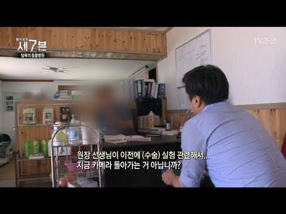 울릉도 유기견에 대해 모른다고 말하는 동물병원 원장! [탐사보도 세븐 1회] 1회 2...