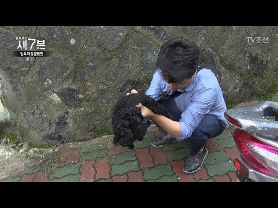 울릉도 유기견 실습 사건의 전말을 찾아서! [탐사보도 세븐 1회] 1회 20170830