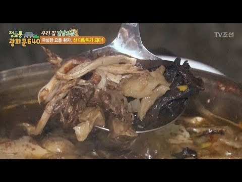 가족들과 자연에서 버섯전골을 먹다! [정보통 광화문 640] 57회 20170919