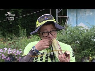 옥수수만 넣고 삶았는데 단 맛이 난다?! [자연愛산다] 21회 20170905