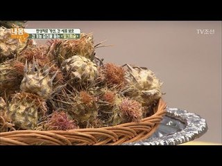 간 기능 지킴이! ‘밀크씨슬’ [내 몸 사용설명서] 169회 20170908