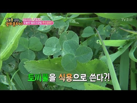 매일 풀을 뜯어먹는 여자, 왜? [정보통 광화문 640] 49회 20170907