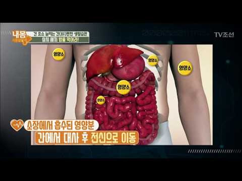 간 효소 늘리는 비법! 삼시 세끼 밥 먹어라? [내 몸 사용설명서] 169회 2017...