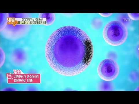 간 효소, 혈액 검사로 확인 할 수 있다! [내 몸 사용설명서] 169회 20170908