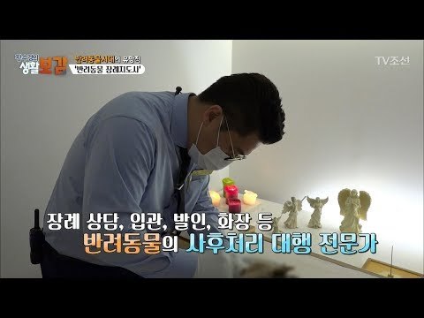 유망직종 ‘반려동물 장례지도사’ [황수경의 생활보감] 23회 20170909