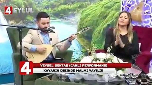 VEYSEL BEKTAŞ ~ KAYA'NIN DİBİNDE