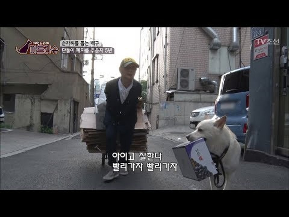 백구, 할머니와 함께 서로에게 의지가 되는 일상! [파트라슈] 1회 20170909