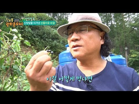 산에서 자라는 모든 것이 내 아침밥! [정보통 광화문 640] 53회 20170913