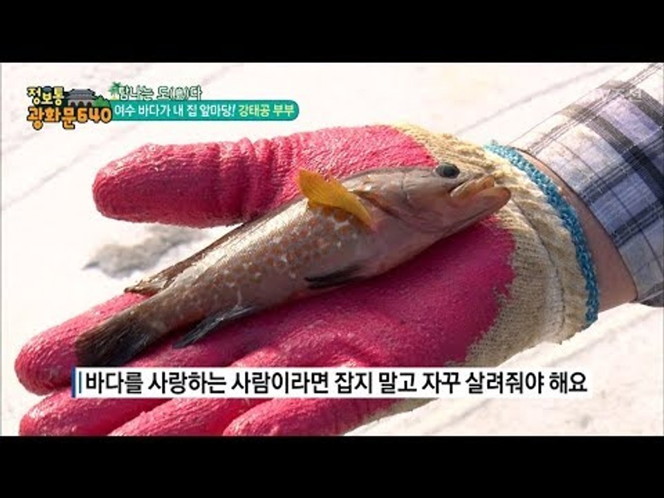 여수 바다가 앞마당! 강태공 부부! [정보통 광화문 640] 53회 20170913