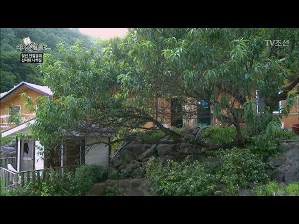 역대급으로 가장 고급진 자연인의 집! [자연愛산다] 23회 20170919