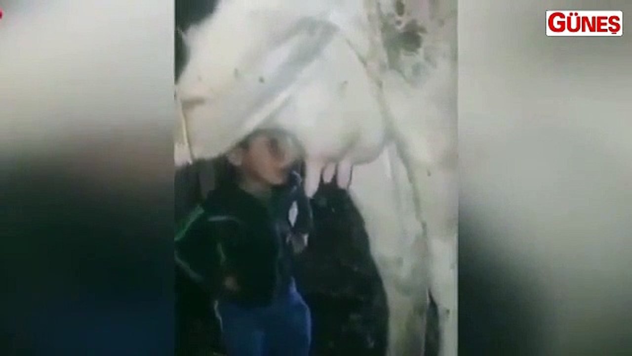 Bu miniğin videosu, sosyal medyada paylaşım rekoru kırıyor