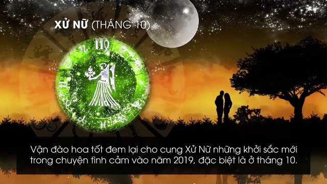 12 cung hoàng đạo và các tháng vượng đào hoa tương ứng trong năm 2019