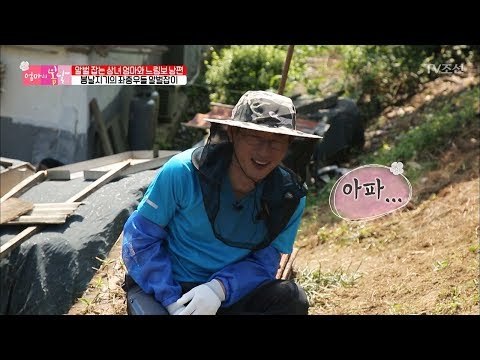 신현준, 말벌 잡기에 도전하다! [엄마의 봄날] 107회 20170924