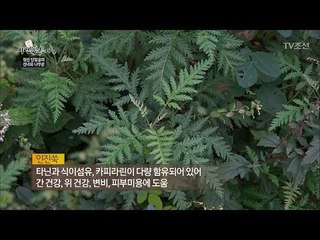 하늘이 내린 보약 ‘인진쑥’ [자연愛산다] 23회 20170919