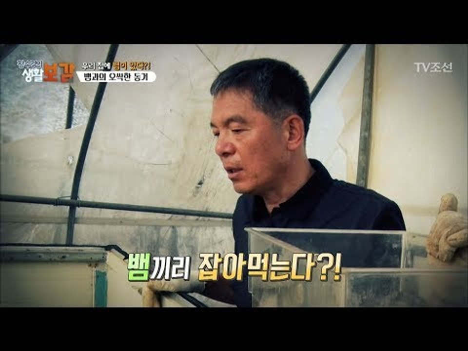 엄청난 식탐의 소유자 능구렁이! 뱀도 잡아먹는다? [황수경의 생활보감] 27회 20171007