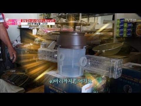 잠자리채로 말벌 잡던 엄마! 신문물에 감탄! [엄마의 봄날] 107회 20170924