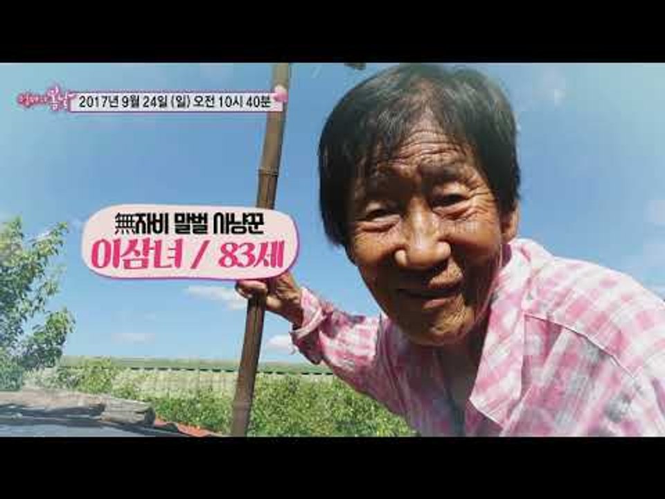 말벌 사냥꾼 삼녀 엄마와 느림보 남편_엄마의 봄날 107회 예고