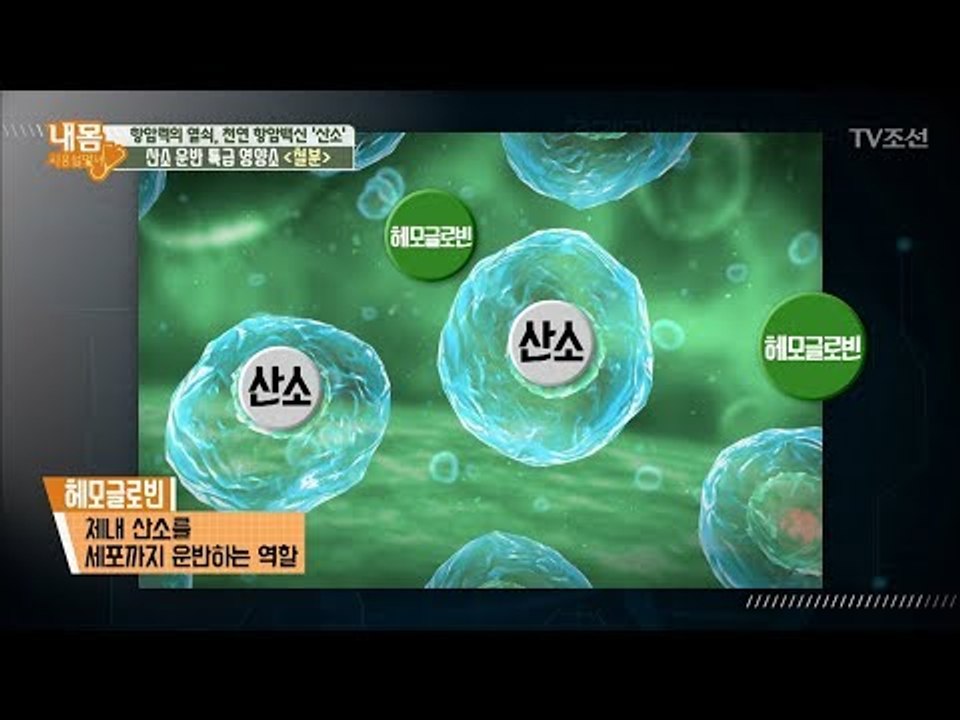 산소 운반 특급영양소 ‘철분’ [내 몸 사용설명서] 171회 20170922