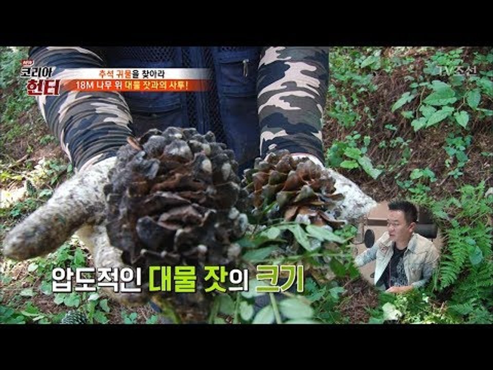 압도적인 크기! 대물 잣을 얻다! [뉴 코리아 헌터] 69회 20170925