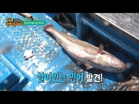 바다의 고급 생선! 민어 잡는 부부! [정보통 광화문 640] 62회 20170926
