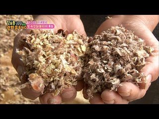 밤 껍질이 우리 몸에 좋다?! 그 효능은? [정보통 광화문 640] 63회 20170927