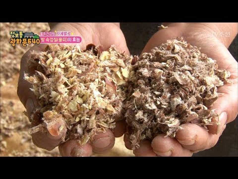 밤 껍질이 우리 몸에 좋다?! 그 효능은? [정보통 광화문 640] 63회 20170927