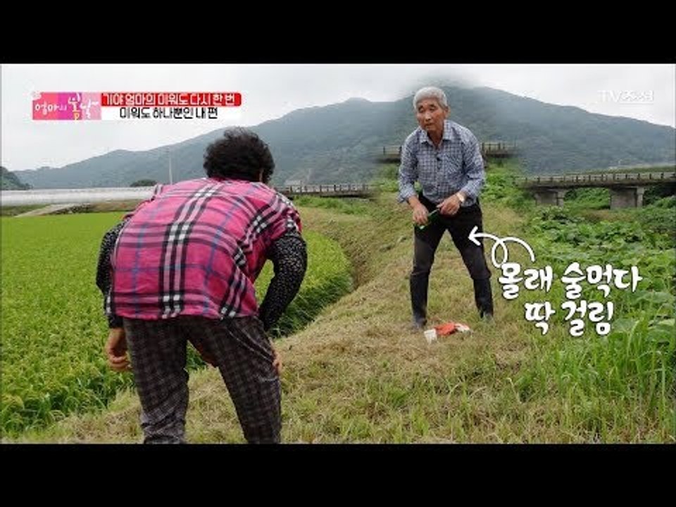 아무리 미워도 뗄레야 뗄 수 없는 엄마와 아빠 사이! [엄마의 봄날] 108회 201...