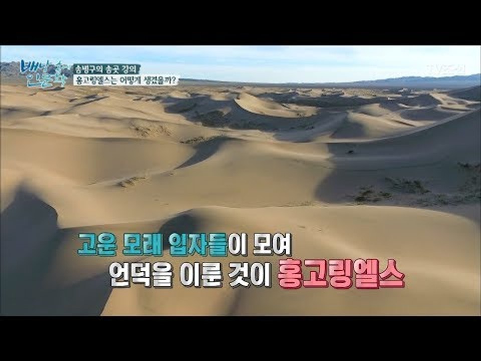 노래하는 모래언덕 ‘홍고링엘스’에서 즐기는 모래썰매! [배낭 속에 인문학] 16회 2...