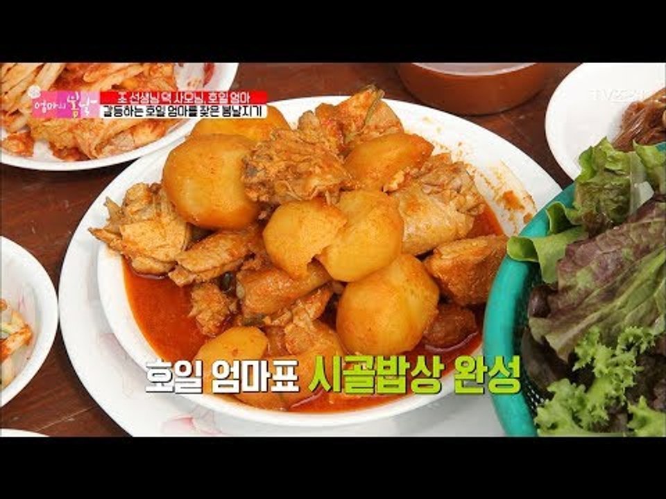 호일 엄마가 차려준 진수성찬! 엄마가 눈물을 흘린 이유는? [엄마의 봄날] 111회...
