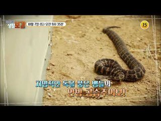 전국은 지금 이동식 주택 열풍!_황수경의 생활보감 27회 예고