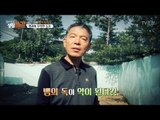 버릴게 없다? 뱀의 허물도 약재로 쓰인다! [황수경의 생활보감] 27회 20171007