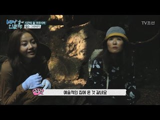 자연의 위대함을 알 수 있는 윌슨 그루터기! [배낭 속에 인문학] 21회 20171031